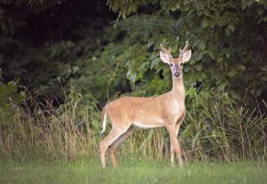 Photography nature092
