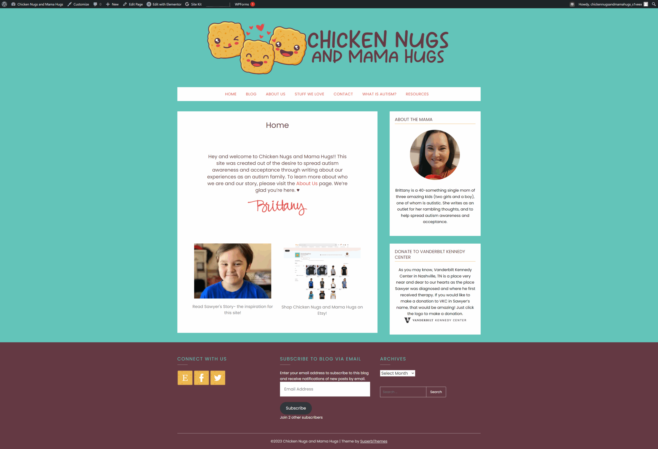 The New Site Look | Chicken Nugs and Mama Hugs