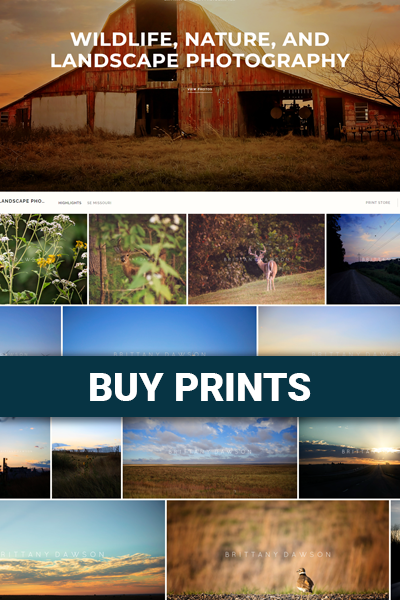 Work Buyprints